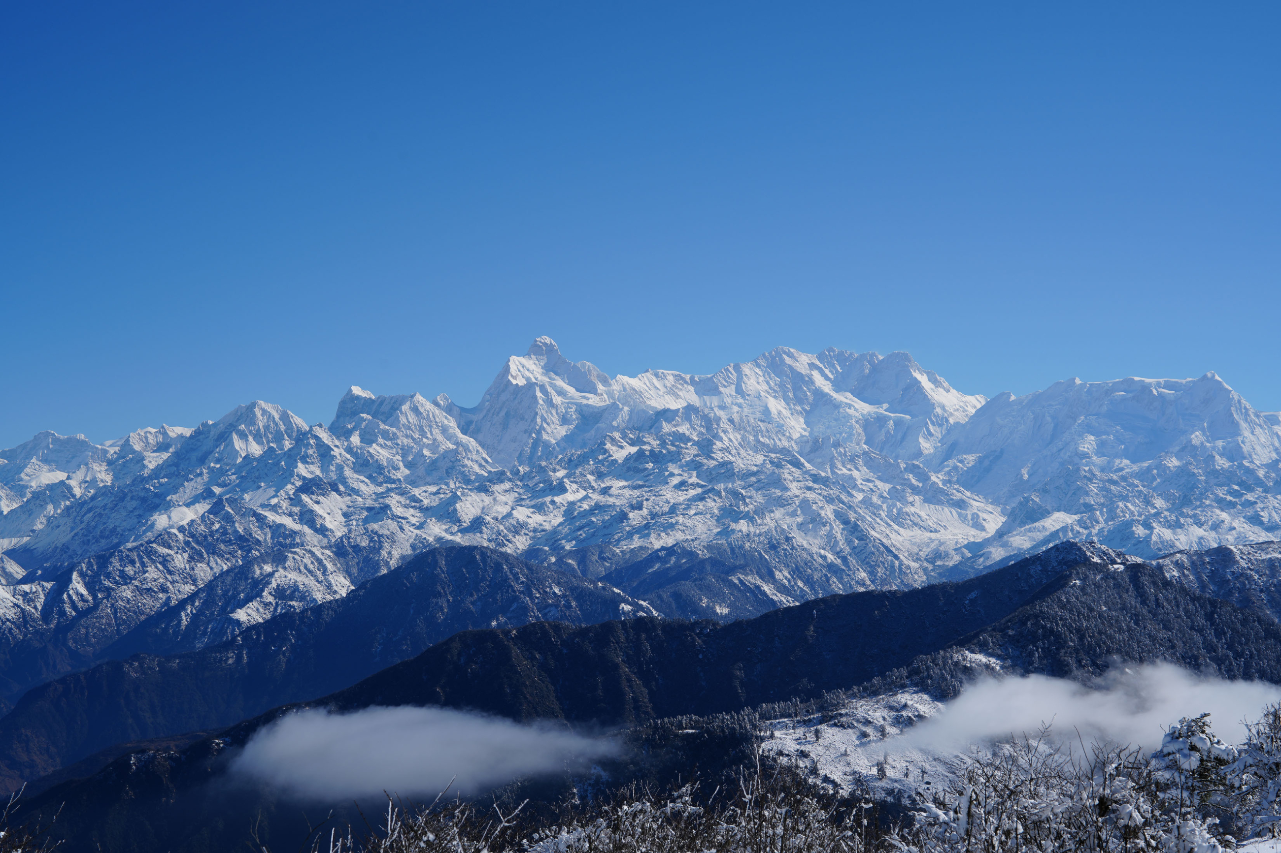 कञ्चनजङ्घा क्षेत्रमा हिउँचितुवाको आक्रमण बढ्दो