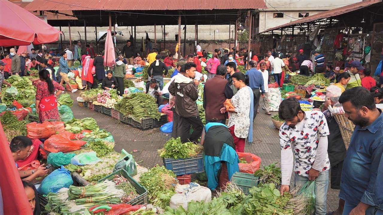 गोलभेँडाको मूल्य ह्वात्तै घट्यो, च्याउ पनि सस्तियो, कुन तरकारीको मूल्य कति? [सूचीसहित]