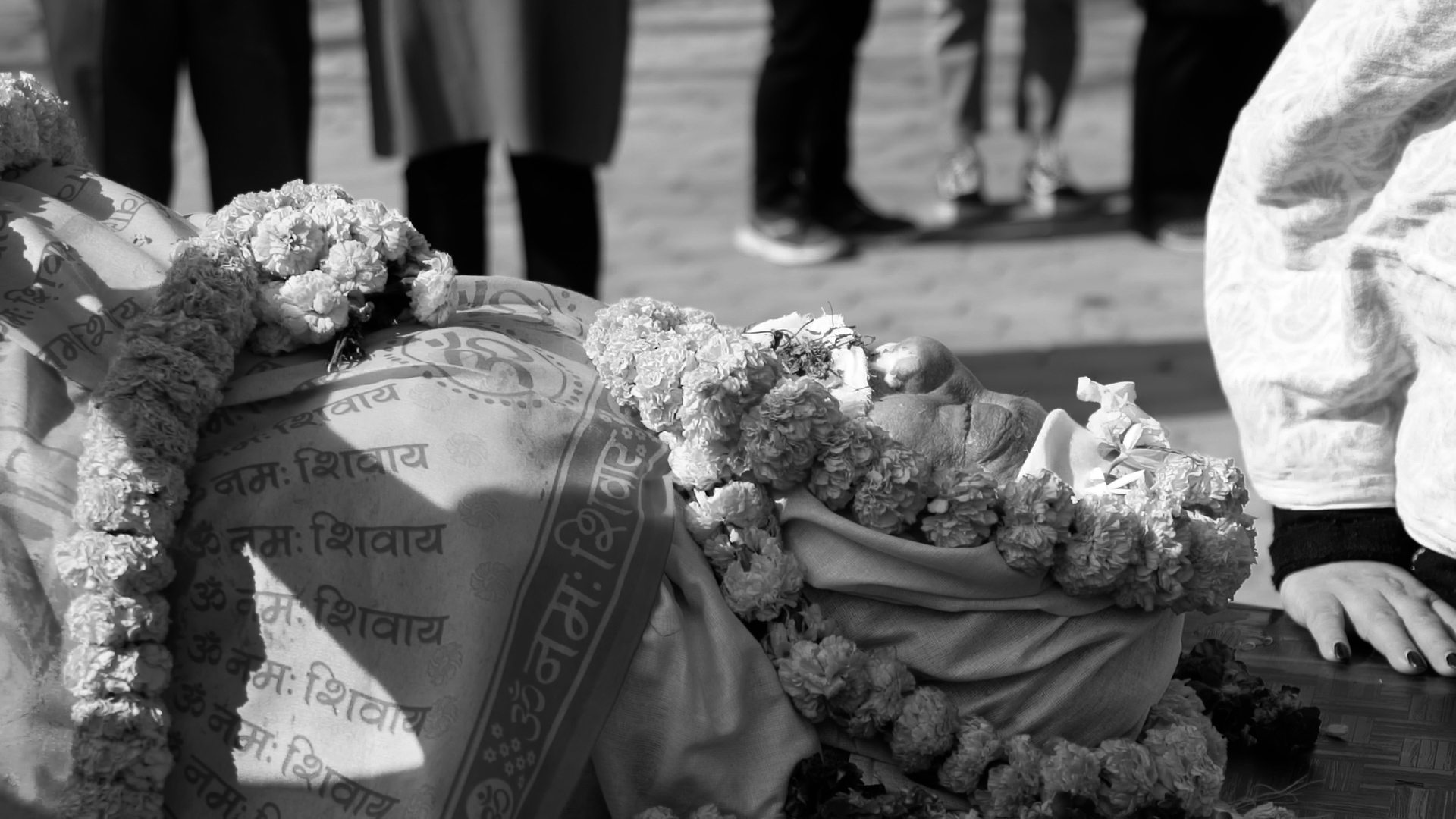 गुन्जिरहेछ ‘सपना भुलाइ सारा....’